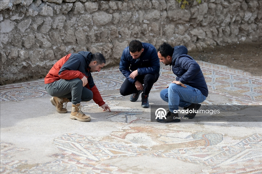 Hadrianopolis Antik Kenti'nde zemini mozaiklerle süslenmiş kabul salonu gün yüzüne çıkarıldı