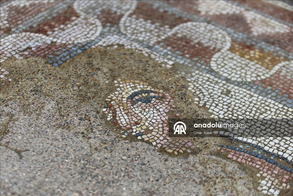 Hadrianopolis Antik Kenti'nde zemini mozaiklerle süslenmiş kabul salonu gün yüzüne çıkarıldı