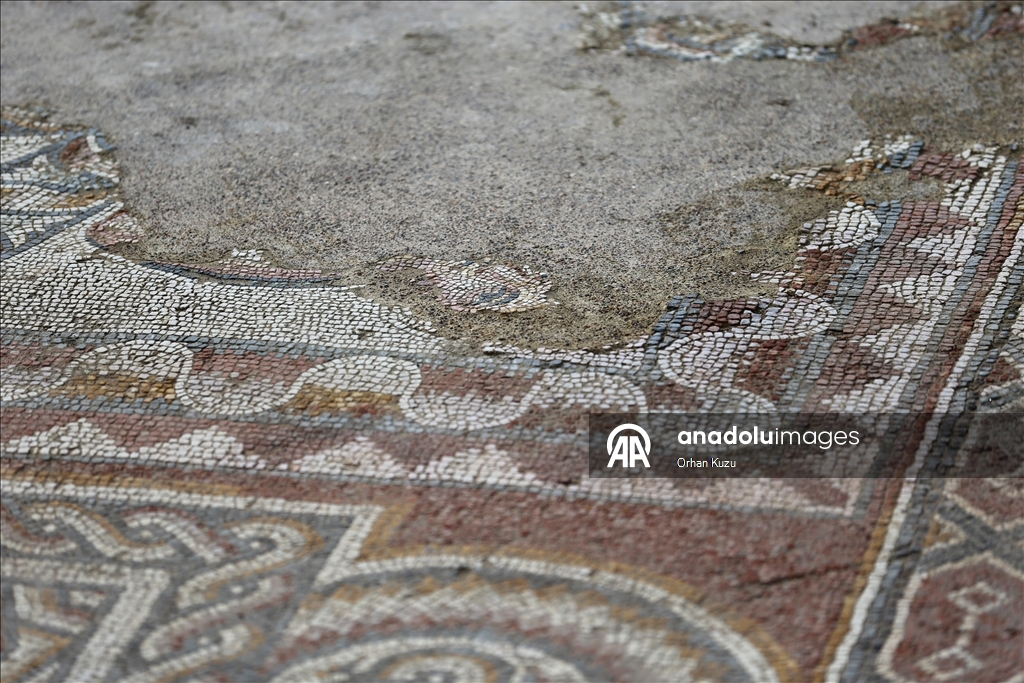 Hadrianopolis Antik Kenti'nde zemini mozaiklerle süslenmiş kabul salonu gün yüzüne çıkarıldı