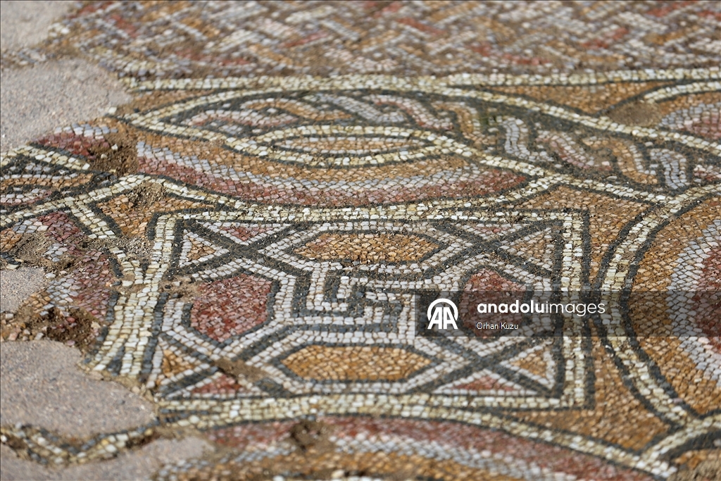 Hadrianopolis Antik Kenti'nde zemini mozaiklerle süslenmiş kabul salonu gün yüzüne çıkarıldı