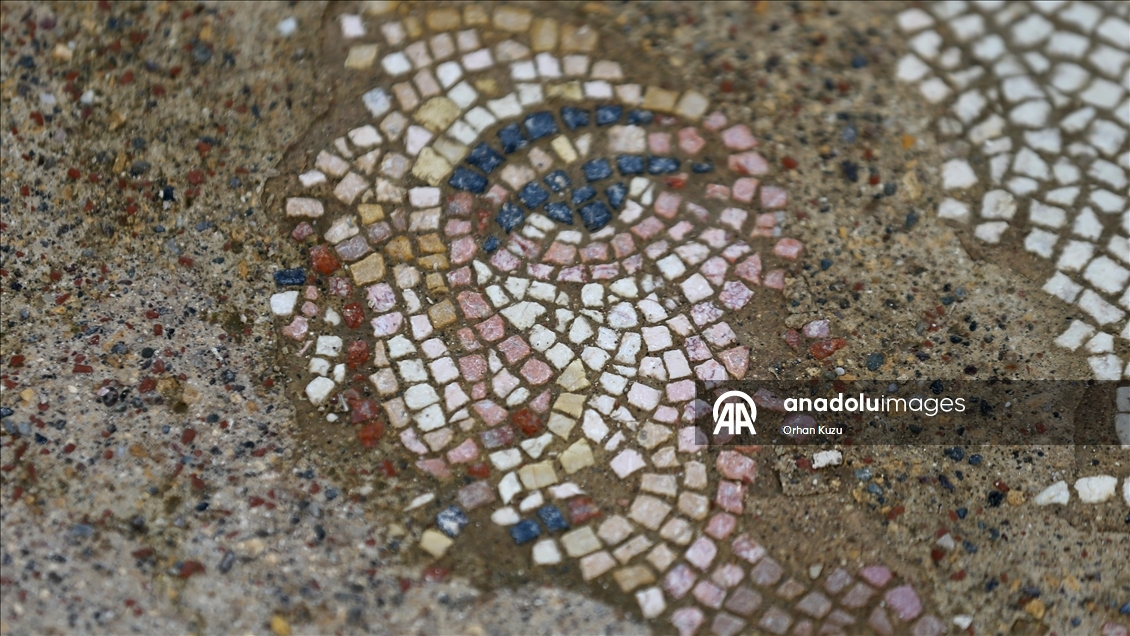 Hadrianopolis Antik Kenti'nde zemini mozaiklerle süslenmiş kabul salonu gün yüzüne çıkarıldı