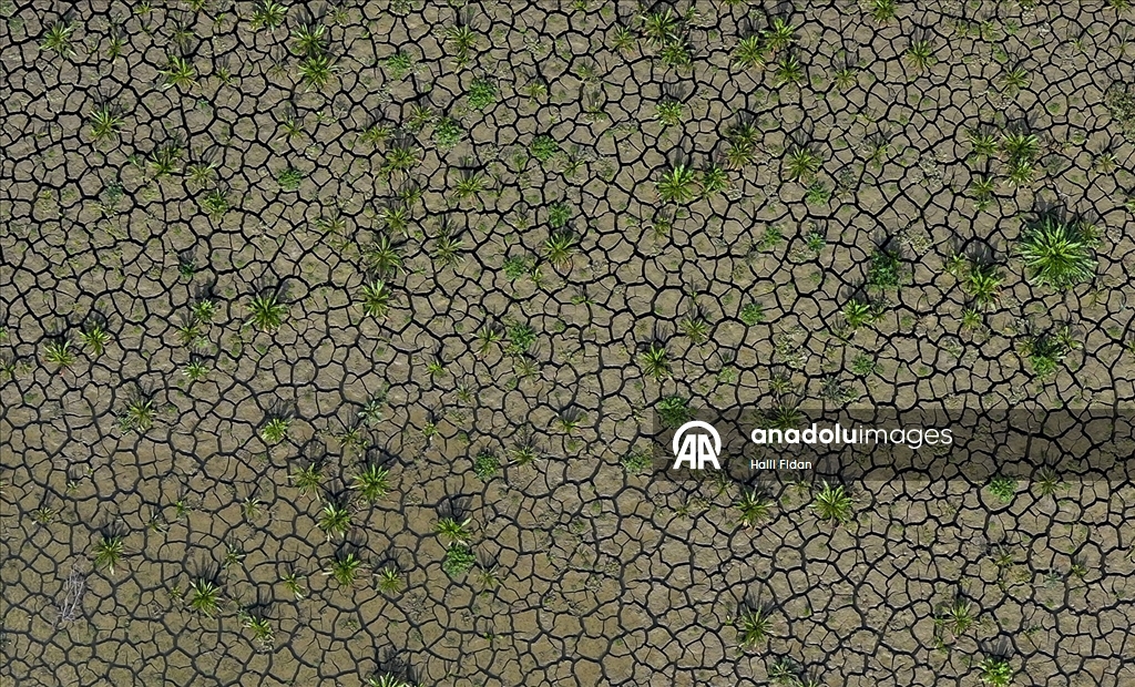 İzmir'deki içme suyu barajları kuraklık nedeniyle alarm veriyor