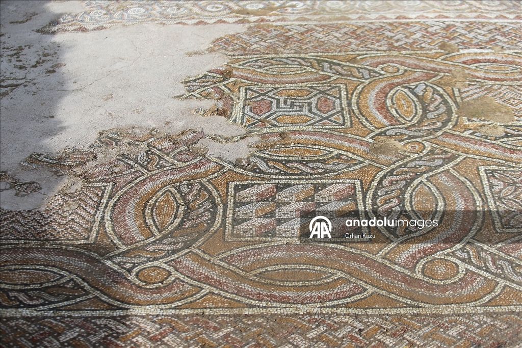 Hadrianopolis Antik Kenti'nde zemini mozaiklerle süslenmiş kabul salonu gün yüzüne çıkarıldı