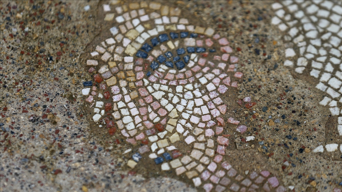 Hadrianopolis Antik Kenti'nde zemini mozaiklerle süslenmiş kabul salonu gün yüzüne çıkarıldı