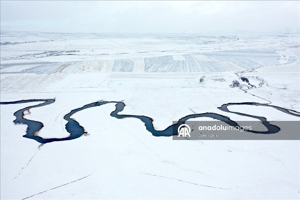 Li Qersê fitlonekên avê yên ku zivistanê naqerisin bi bedewiya xwe eleqeyê dibînin