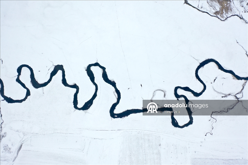 Li Qersê fitlonekên avê yên ku zivistanê naqerisin bi bedewiya xwe eleqeyê dibînin