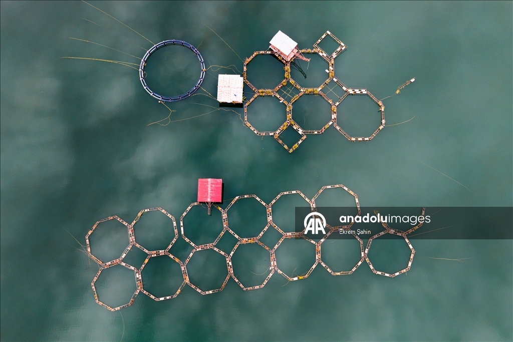 Karacaören Barajı’nda balıkçılık ve çiftlikler bölge ekonomisine katkı sağlıyor