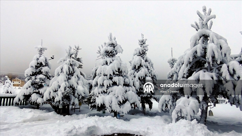 Kars'ın Sarıkamış ilçesinde kar yağışı ve soğuk hava etkili oldu