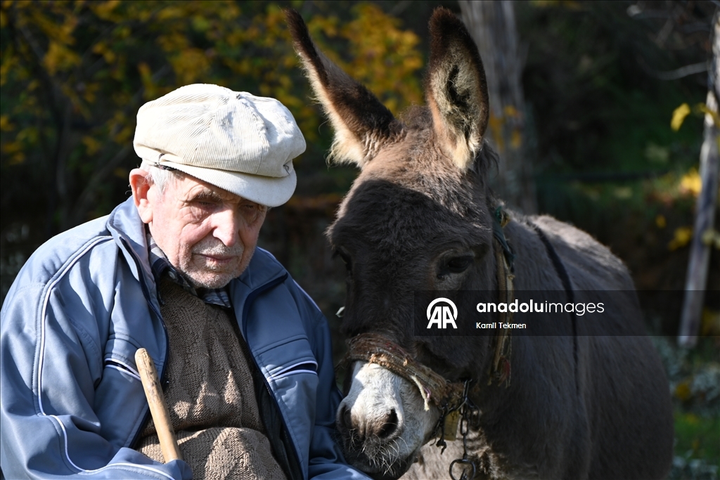 Görme engelli Raif dede yolunu 24 yıldır eşeği "Magare" sayesinde buluyor