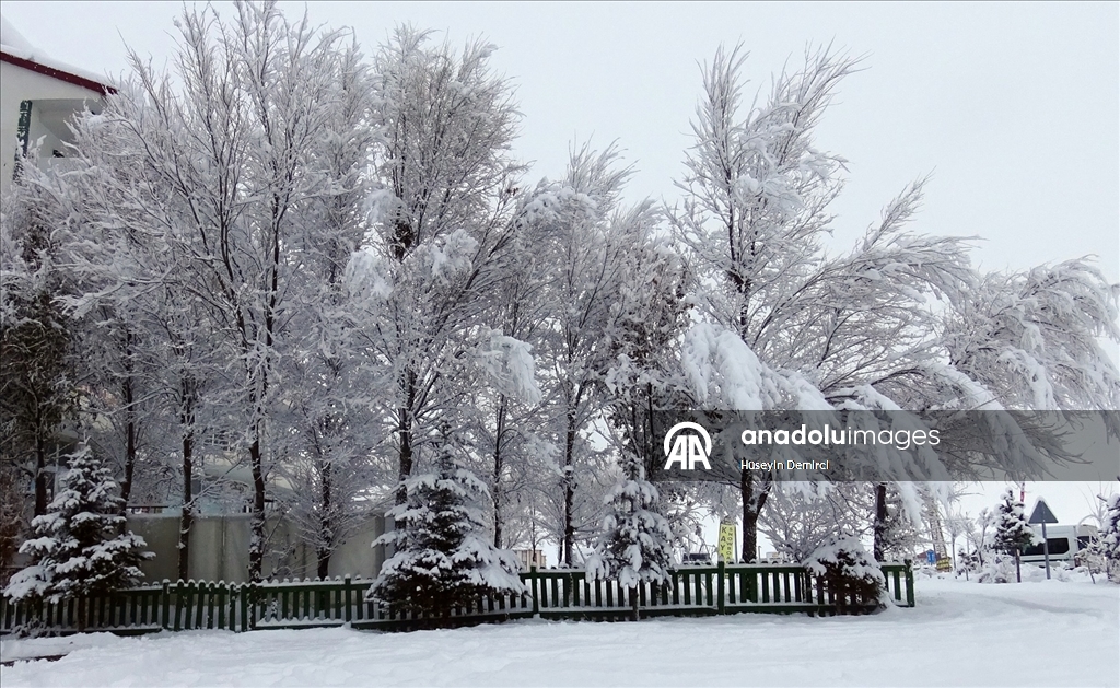 Kars'ın Sarıkamış ilçesinde kar yağışı ve soğuk hava etkili oldu