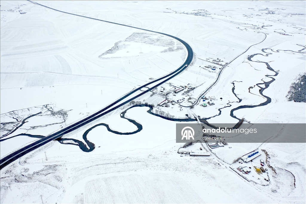 Li Qersê fitlonekên avê yên ku zivistanê naqerisin bi bedewiya xwe eleqeyê dibînin