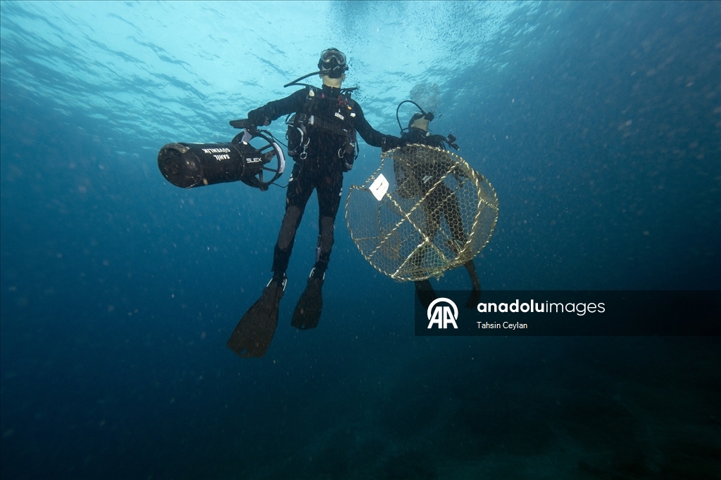 Doğu Akdeniz’de yasaklı av sepetleri denetimlerde tespit edilerek sudan çıkarıldı