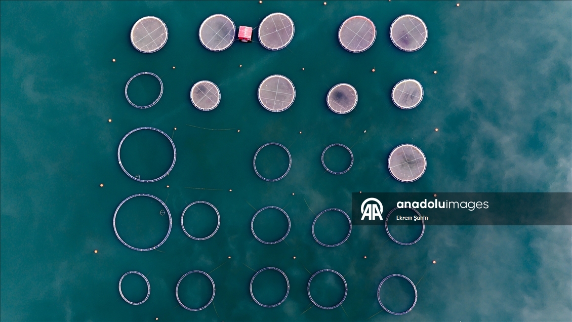 Karacaören Barajı’nda balıkçılık ve çiftlikler bölge ekonomisine katkı sağlıyor