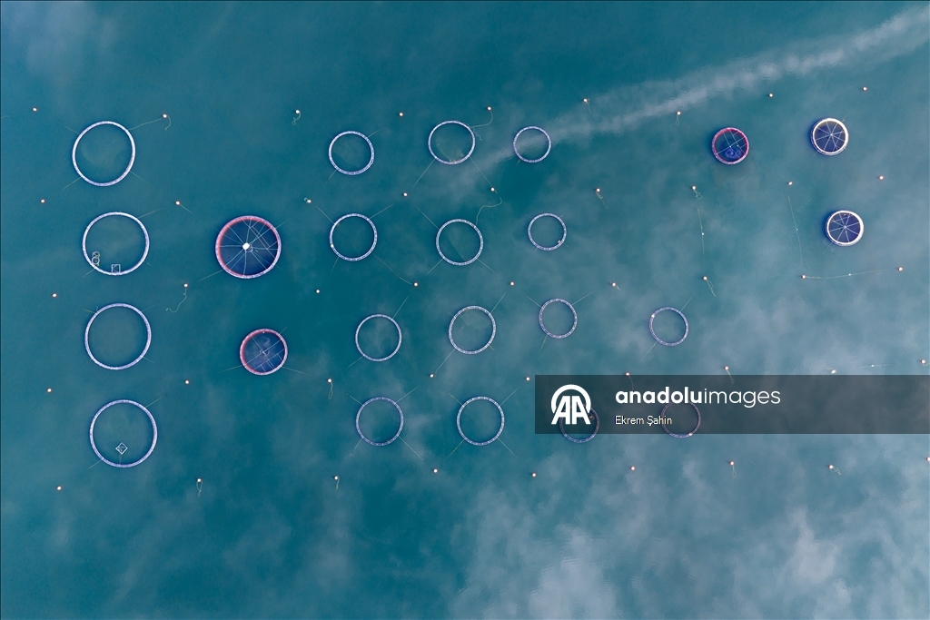 Karacaören Barajı’nda balıkçılık ve çiftlikler bölge ekonomisine katkı sağlıyor