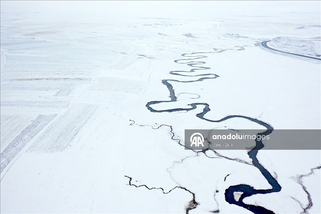 Li Qersê fitlonekên avê yên ku zivistanê naqerisin bi bedewiya xwe eleqeyê dibînin