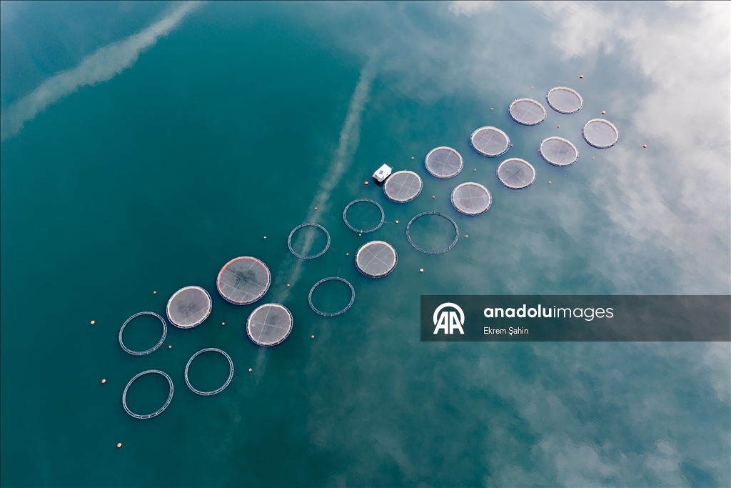 Karacaören Barajı’nda balıkçılık ve çiftlikler bölge ekonomisine katkı sağlıyor