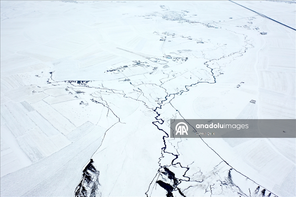 Li Qersê fitlonekên avê yên ku zivistanê naqerisin bi bedewiya xwe eleqeyê dibînin