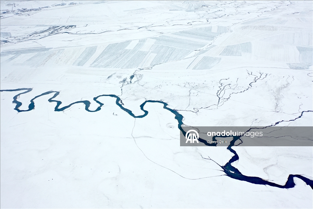 Li Qersê fitlonekên avê yên ku zivistanê naqerisin bi bedewiya xwe eleqeyê dibînin
