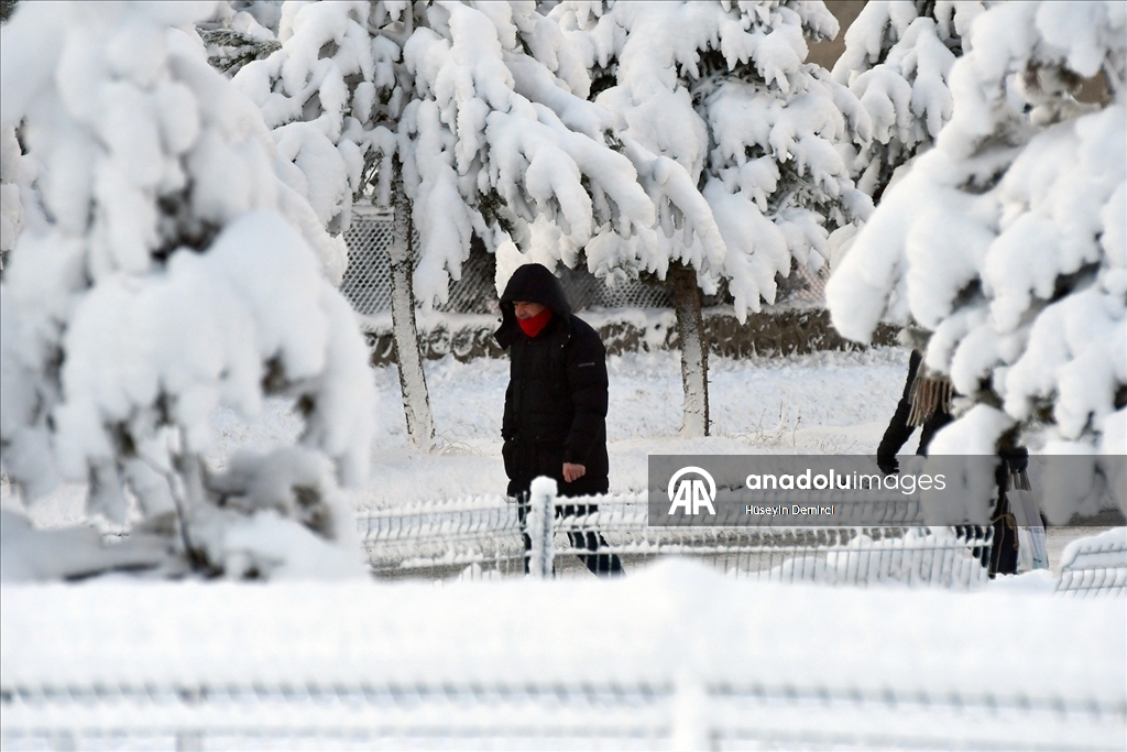 Kars'ın Sarıkamış ilçesinde kar yağışı ve soğuk hava etkili oldu