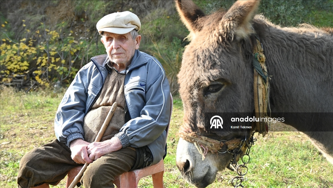 Görme engelli Raif dede yolunu 24 yıldır eşeği "Magare" sayesinde buluyor