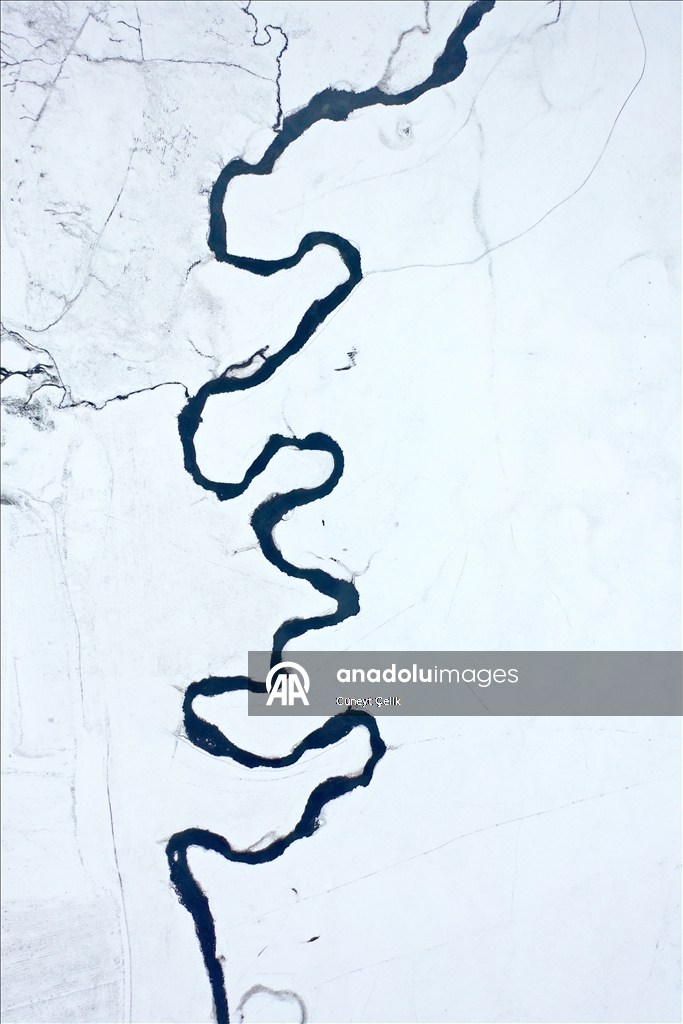 Li Qersê fitlonekên avê yên ku zivistanê naqerisin bi bedewiya xwe eleqeyê dibînin