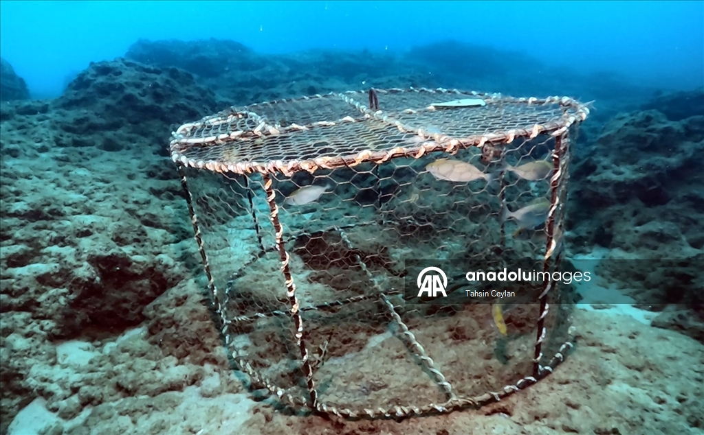 Doğu Akdeniz’de yasaklı av sepetleri denetimlerde tespit edilerek sudan çıkarıldı