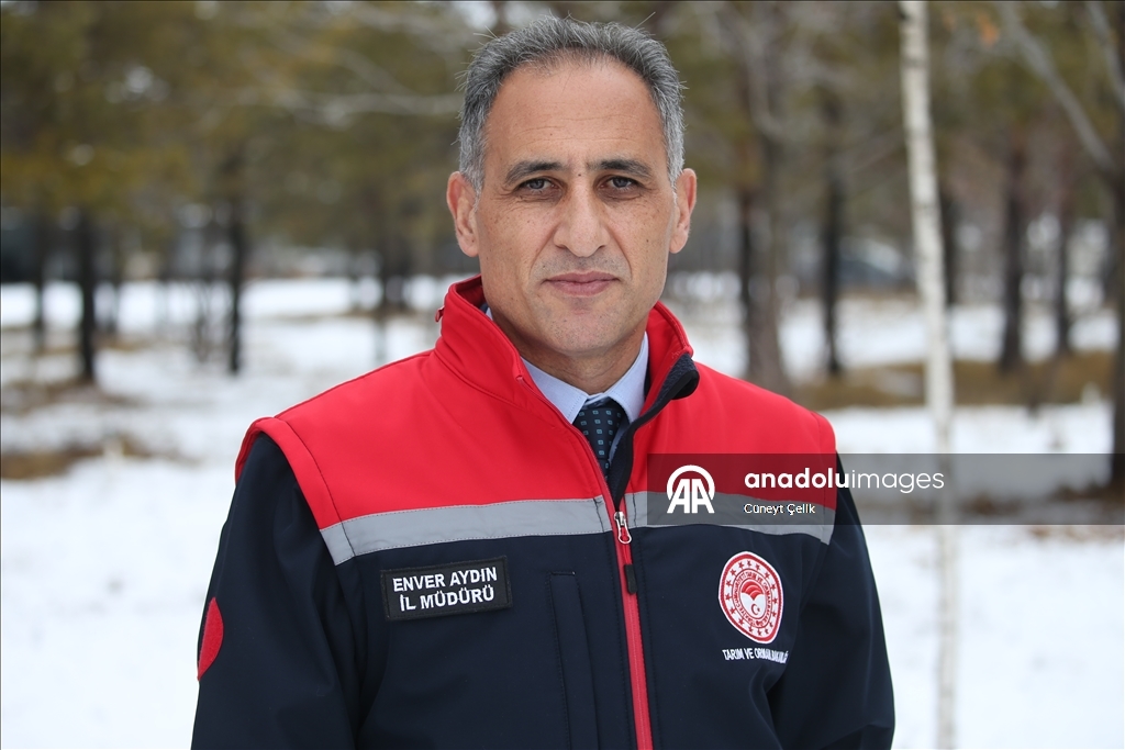 Kışın donmayan ve göz kamaştıran menderesler hayvancılığa katkı sağlıyor