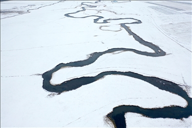 Li Qersê fitlonekên avê yên ku zivistanê naqerisin bi bedewiya xwe eleqeyê dibînin