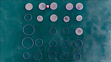 Karacaören Barajı’nda balıkçılık ve çiftlikler bölge ekonomisine katkı sağlıyor