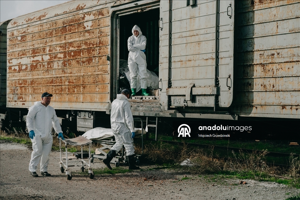 В Одессе судебные медики продолжают работу по идентификации украинских военнослужащих