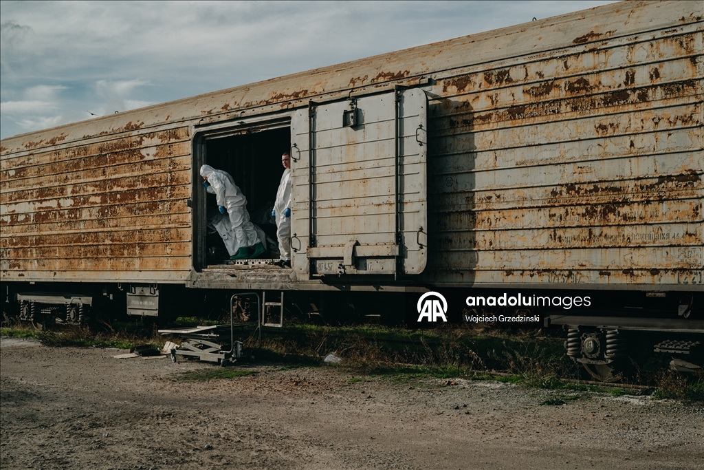 В Одессе судебные медики продолжают работу по идентификации украинских военнослужащих