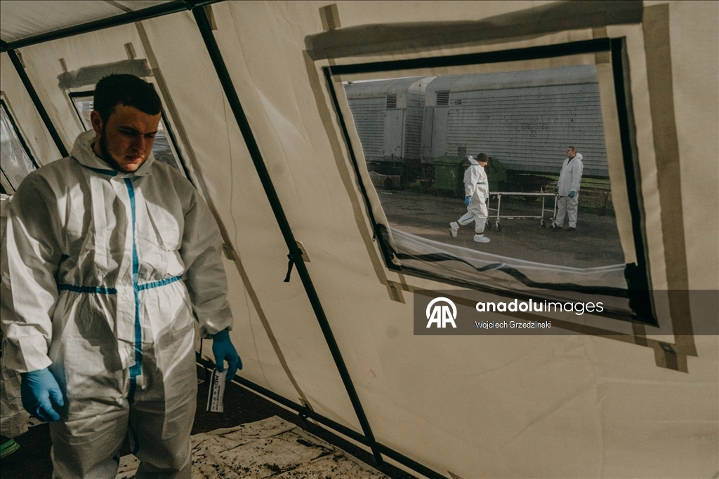 В Одессе судебные медики продолжают работу по идентификации украинских военнослужащих