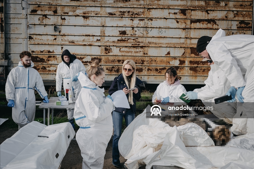 В Одессе судебные медики продолжают работу по идентификации украинских военнослужащих