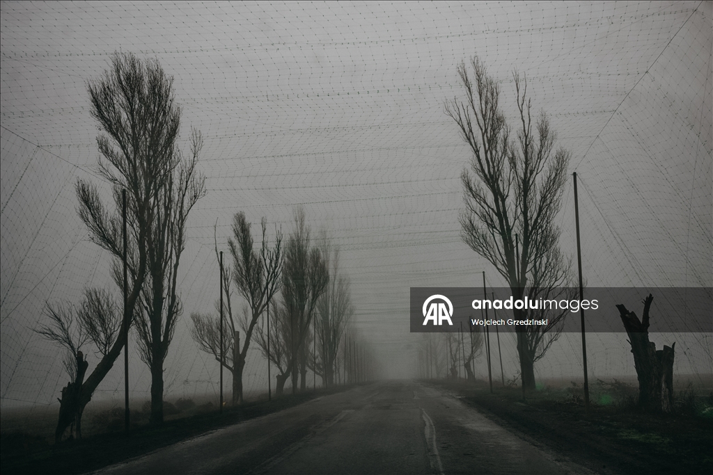 Donbas’ta drone tehditlerine karşı yollara ağ kaplı tüneller kuruldu