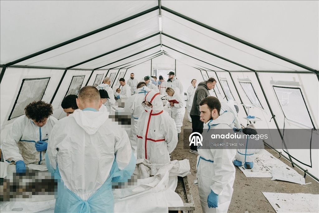 В Одессе судебные медики продолжают работу по идентификации украинских военнослужащих