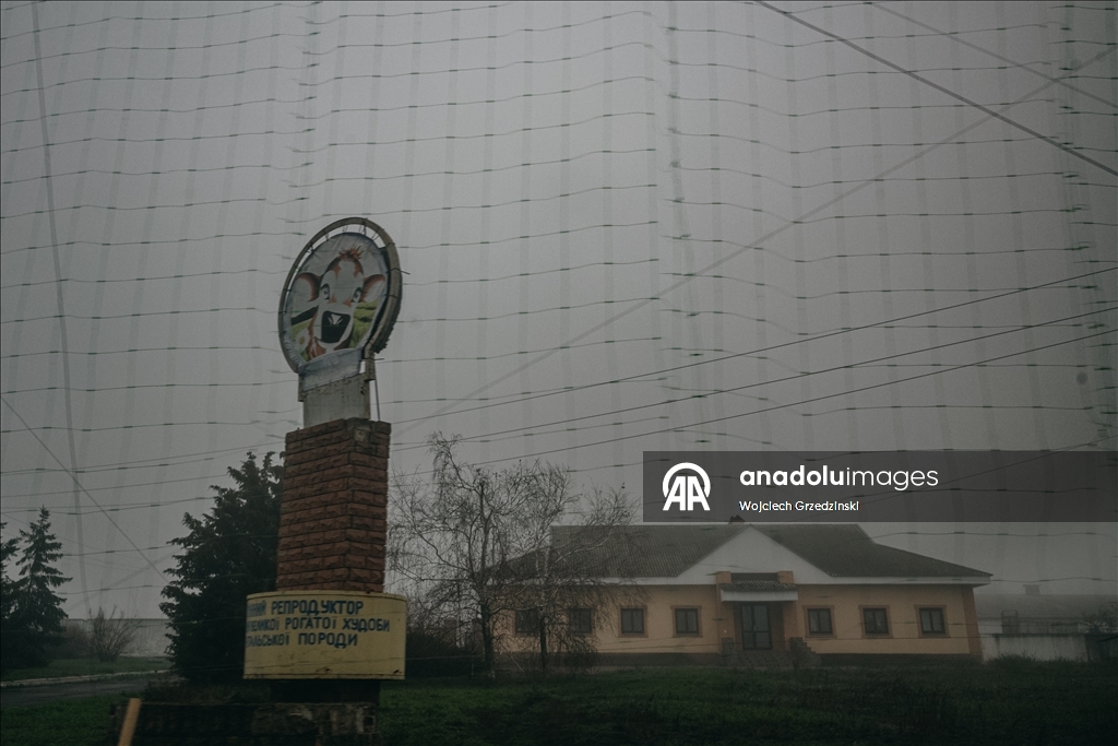 Donbas’ta drone tehditlerine karşı yollara ağ kaplı tüneller kuruldu