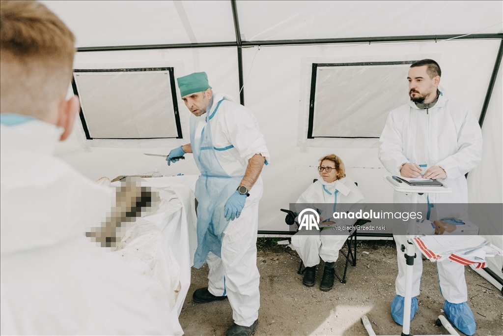 В Одессе судебные медики продолжают работу по идентификации украинских военнослужащих