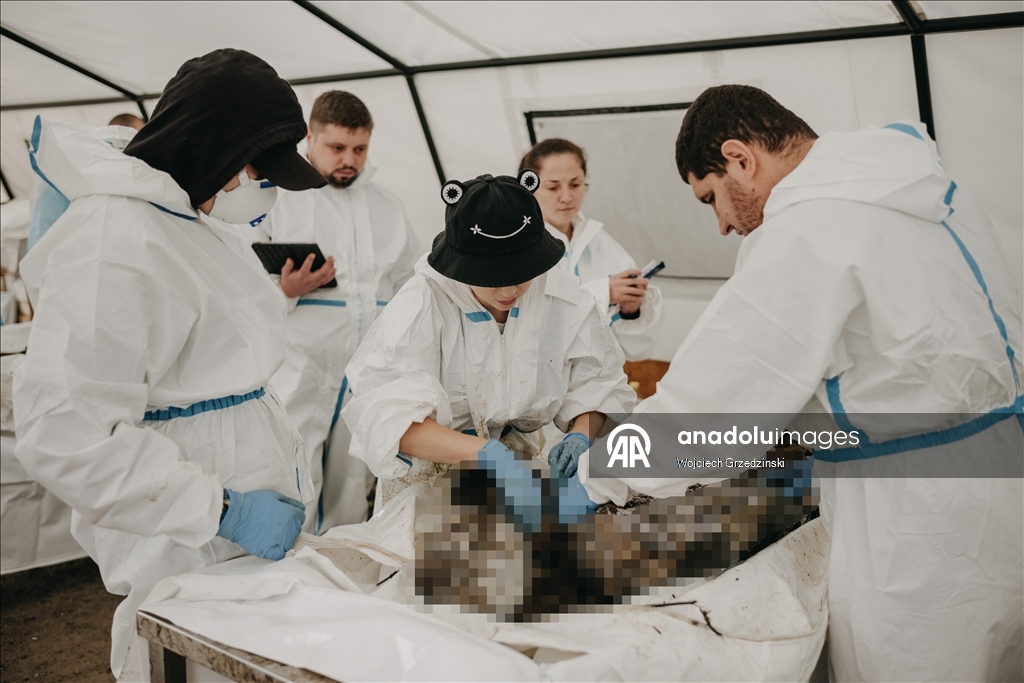 В Одессе судебные медики продолжают работу по идентификации украинских военнослужащих