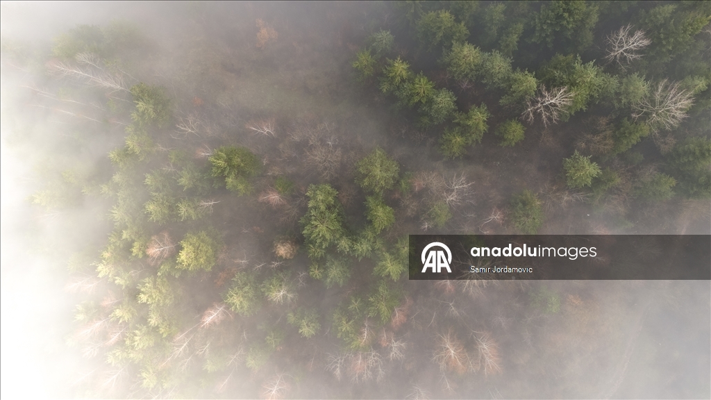 Magla i zagadjenje u Sarajevu