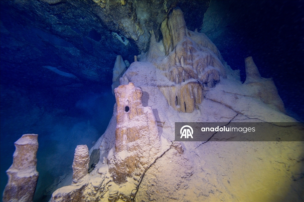 Дайверы запечатлели уникальное биоразнообразие глубин Восточного Средиземноморья 7