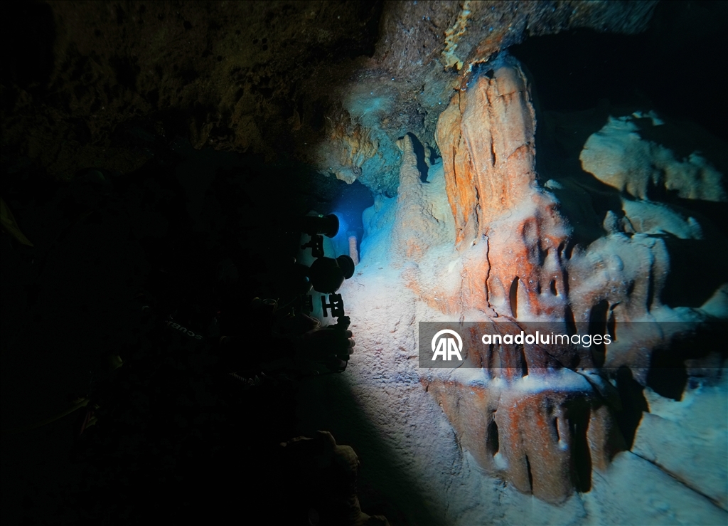 Дайверы запечатлели уникальное биоразнообразие глубин Восточного Средиземноморья 13