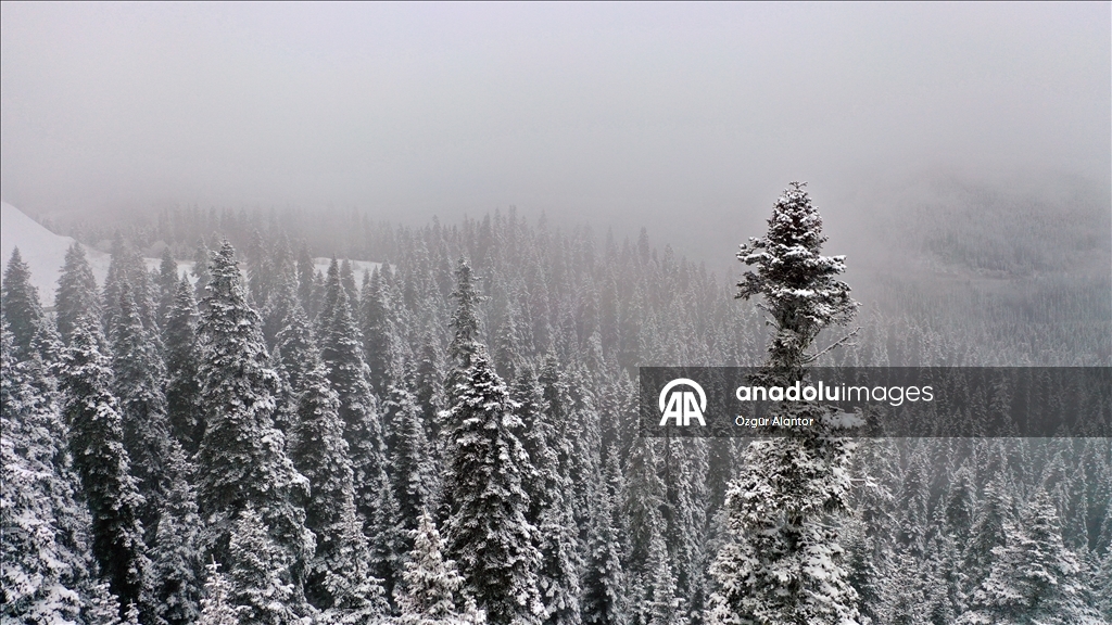 Ilgaz Dağı'nda kar ve sis etkili oldu