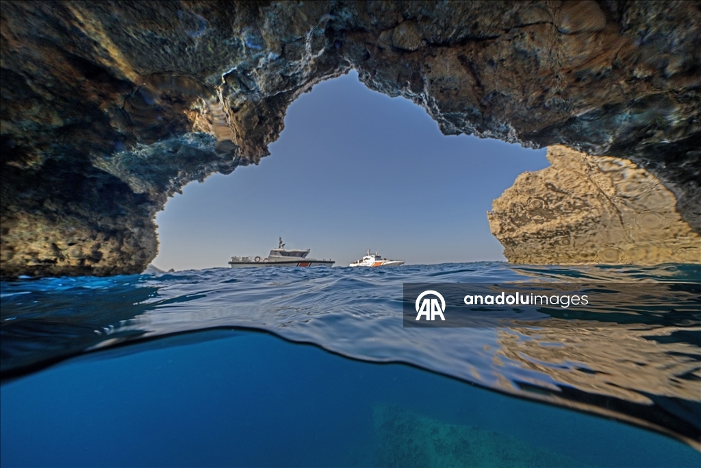 Дайверы запечатлели уникальное биоразнообразие глубин Восточного Средиземноморья 4