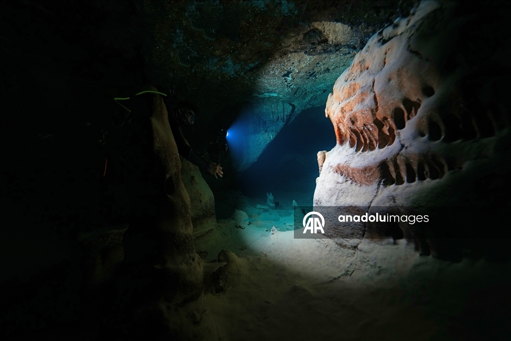 Дайверы запечатлели уникальное биоразнообразие глубин Восточного Средиземноморья 20