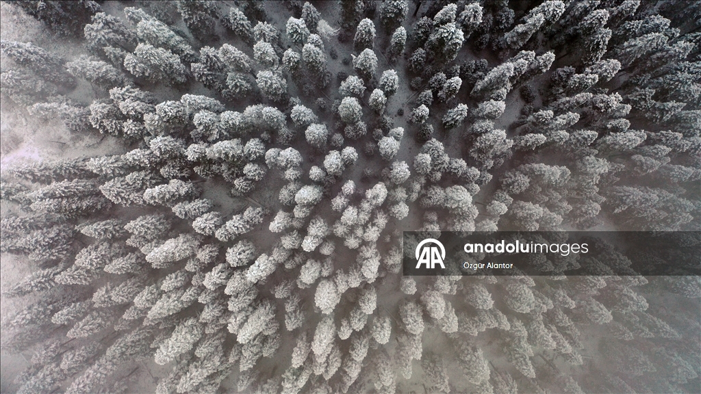 Ilgaz Dağı'nda kar ve sis etkili oldu