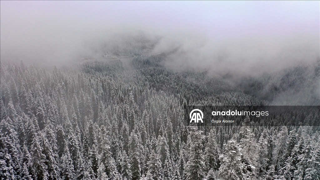Ilgaz Dağı'nda kar ve sis etkili oldu