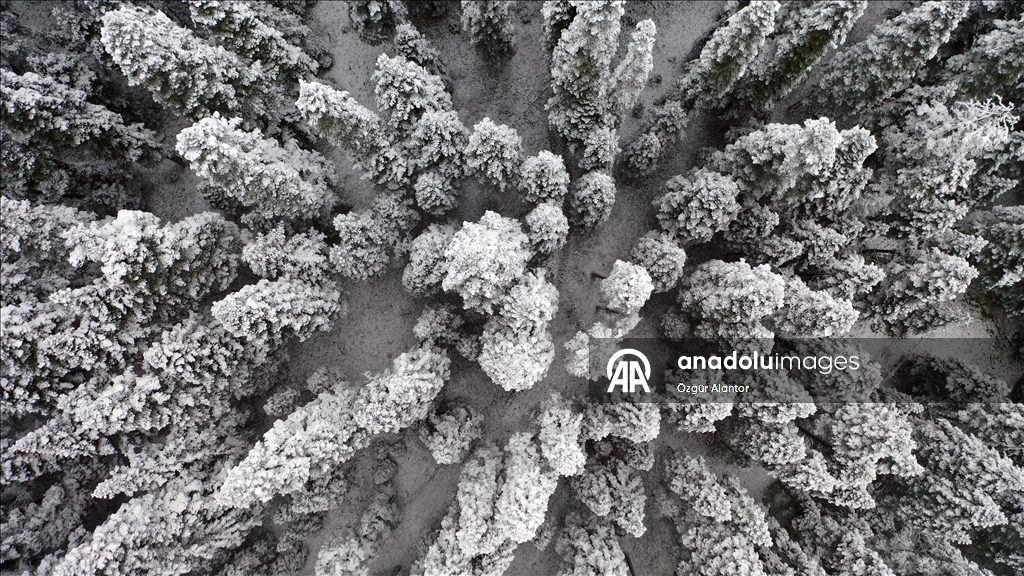 Ilgaz Dağı'nda kar ve sis etkili oldu