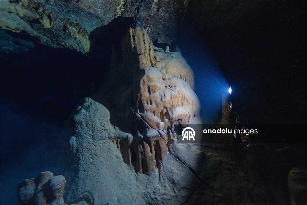 Дайверы запечатлели уникальное биоразнообразие глубин Восточного Средиземноморья 23