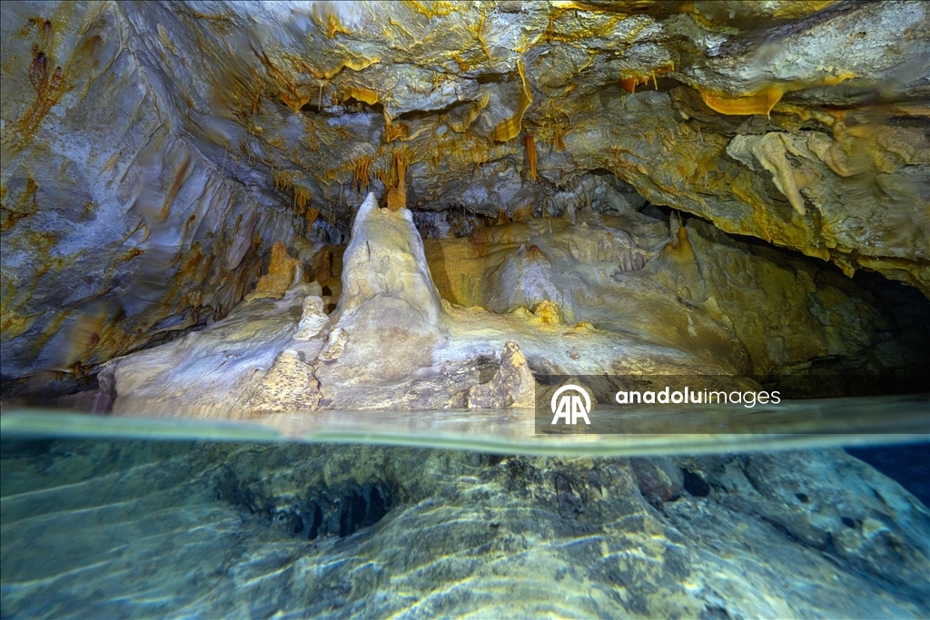 Дайверы запечатлели уникальное биоразнообразие глубин Восточного Средиземноморья 19