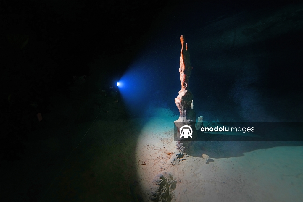 Дайверы запечатлели уникальное биоразнообразие глубин Восточного Средиземноморья 30